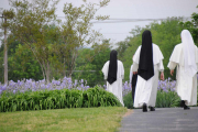 Rosary Walk