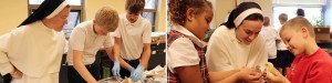 nashville dominicans, Dominican sisters of st. cecilia congregation, nashville, education, teaching, dominican sisters, st. cecilia congregation, K-college, elementary schools, catholic education, catholic schools, catholic college,